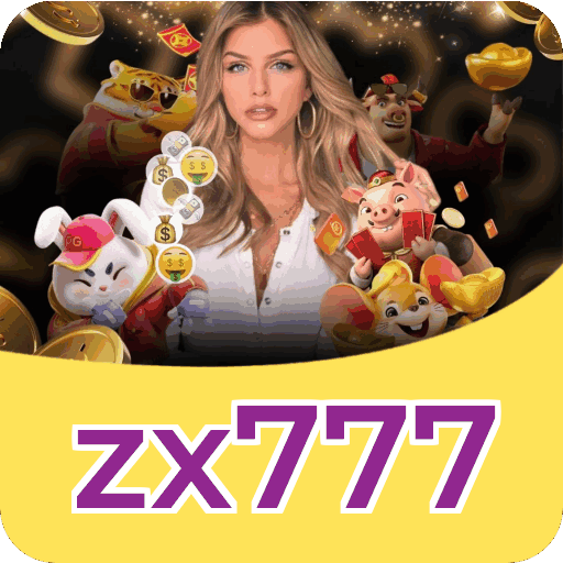Interface zx777